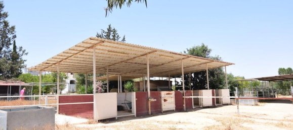 4 غرف نوم فيلا في Nicosia, Cyprus رقم 6038 3