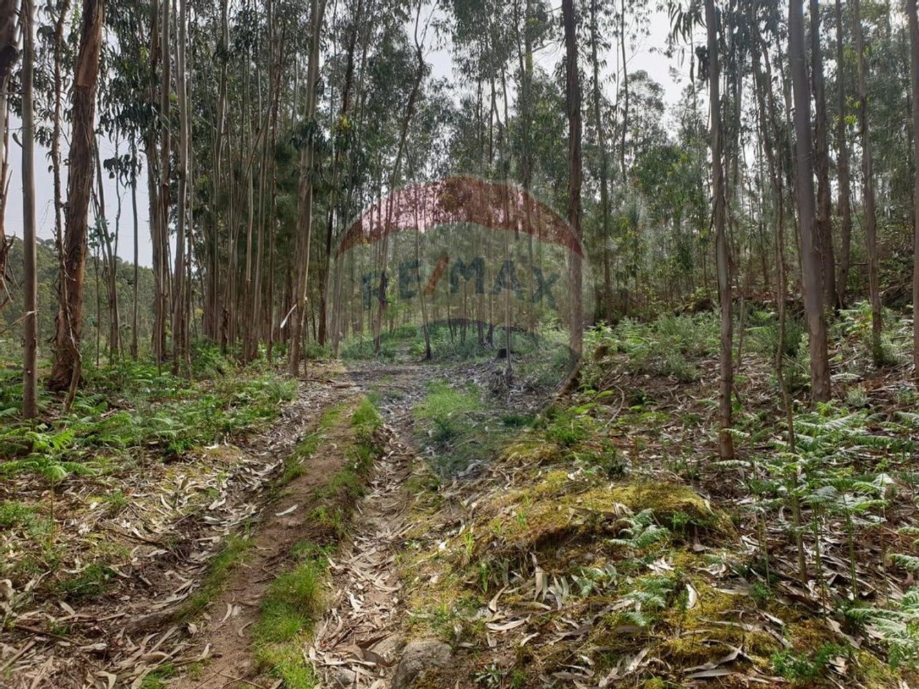 Grundstück in Paco de Sousa, Portugal 1350m², Nr. 58667