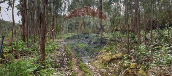 Grundstück in Paco de Sousa, Portugal 1350m², Nr. 58667 7