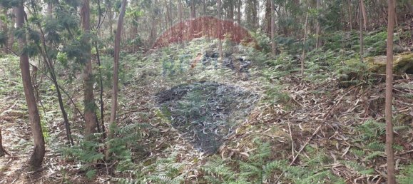 Grundstück in Paco de Sousa, Portugal 1350m², Nr. 58667 4