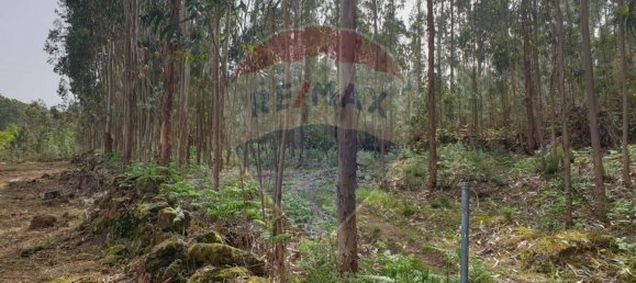 Grundstück in Paco de Sousa, Portugal 1350m², Nr. 58667 5