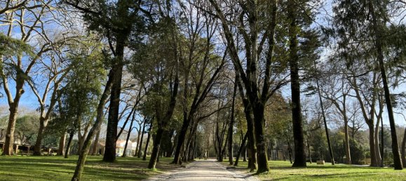  قطعة أرض في Ericeira, Portugal 225متر مربع رقم 287484 22