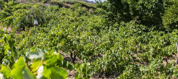 Grundstück in Torres Vedras, Portugal 850000m², Nr. 81360 7