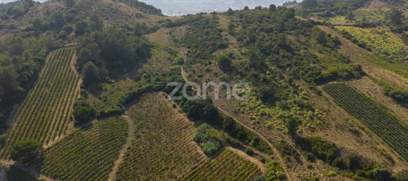 Grundstück in Torres Vedras, Portugal 850000m², Nr. 81360 5