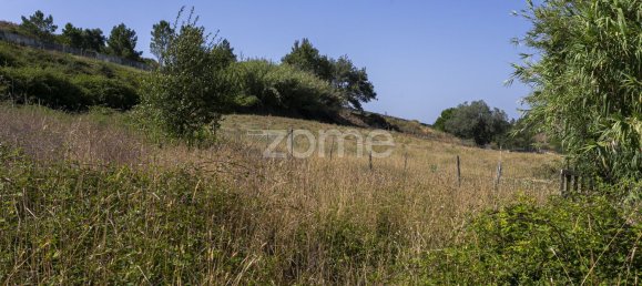 Grundstück in Torres Vedras, Portugal 850000m², Nr. 81360 25