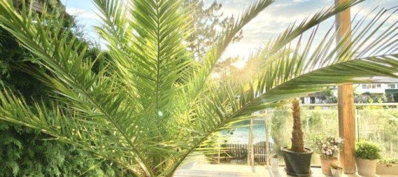 Casa de 6 divisões em Gross-Enzersdorf, Austria N.º 259218 39