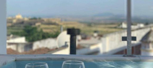 6 bedrooms House in Elvas, Portugal No. 136188 13