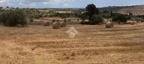 Grundstück in Modica, Italy 10050m², Nr. 290769 12