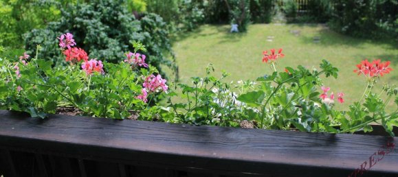 7-Zimmer Haus in Hollabrunn, Austria, Nr. 140839 9