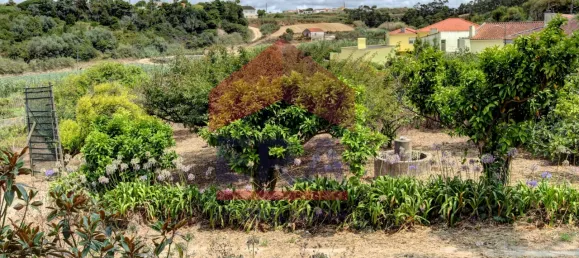 6 bedrooms House in Atouguia da Baleia, Portugal No. 141613 23