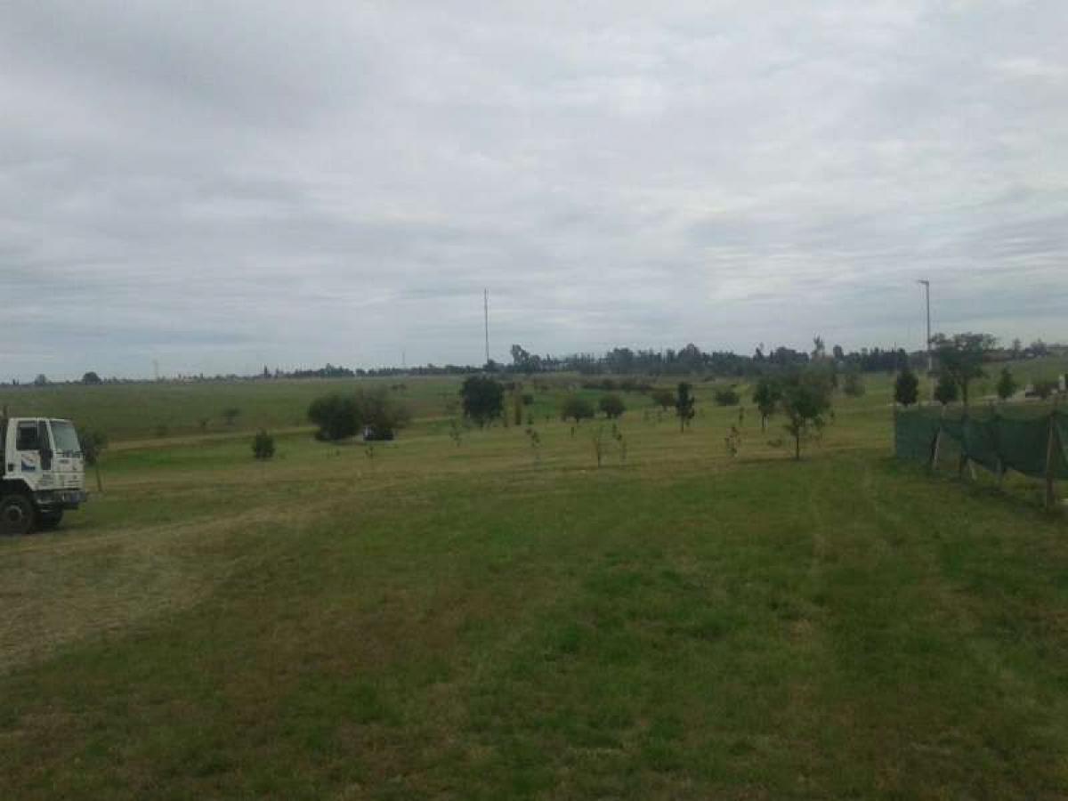 Grundstück in Cordoba, Argentina, Nr. 37515