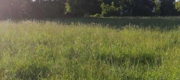  قطعة أرض في Hof, Germany رقم 151643 3