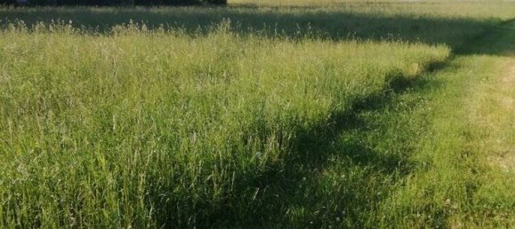  قطعة أرض في Hof, Germany رقم 151643 2