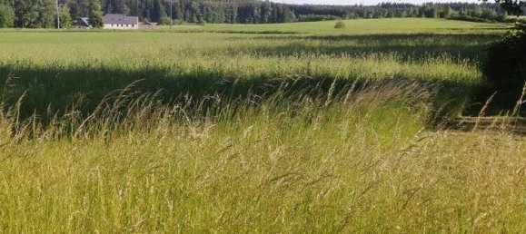  قطعة أرض في Hof, Germany رقم 151643 4