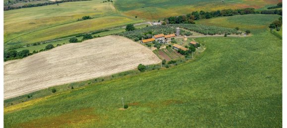 480000m² Land in Ardea, Italy No. 257033 4