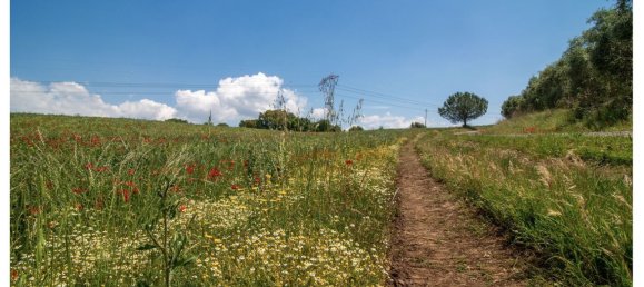 480000m² Land in Ardea, Italy No. 257033 7
