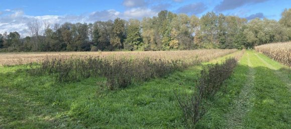  Land in Riegersburg, Austria No. 130846 3