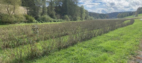  Land in Riegersburg, Austria No. 130846 2