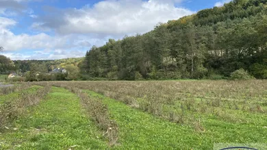  Land in Riegersburg, Austria No. 130846