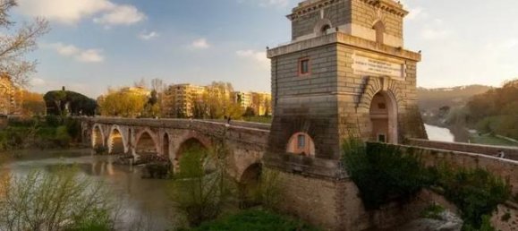 2 rooms Commercial property in Rome, Italy No. 205885 12