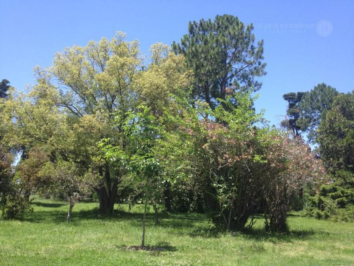 Grundstück in Escobar, Argentina, Nr. 118871