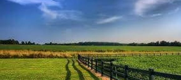 2180m² Land in Chioggia, Italy No. 221503 10