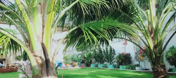 Casa T3 em Pattaya, Thailand N.º 71666 3