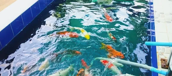 Casa T3 em Pattaya, Thailand N.º 71666 5