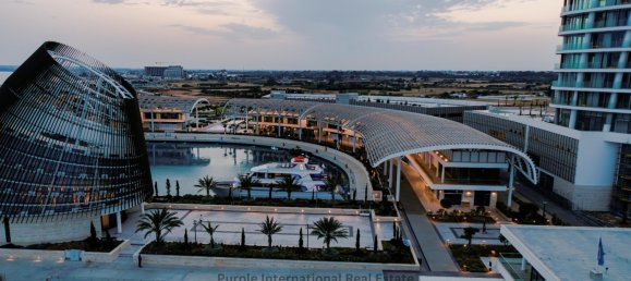 4 bedrooms Villa in Ayia Napa, Cyprus No. 22340 28