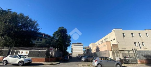 4-Zimmer Wohnung in Casavatore, Italy, Nr. 129055 16