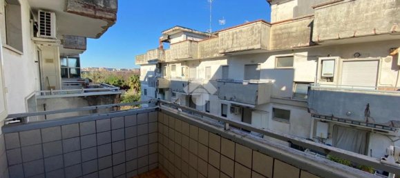 4-Zimmer Wohnung in Casavatore, Italy, Nr. 129055 15