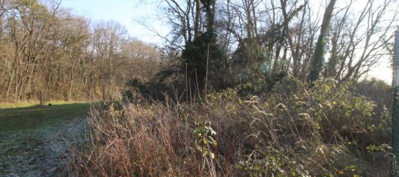 1278m² Land in Les Montils, France No. 61458 3