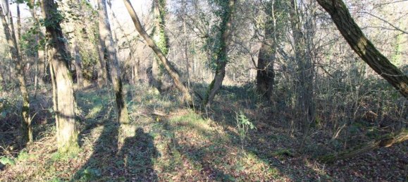 1278m² Land in Les Montils, France No. 61458 5