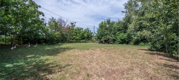 3 bedrooms Villa in Castello d'Argile, Italy No. 112572 43