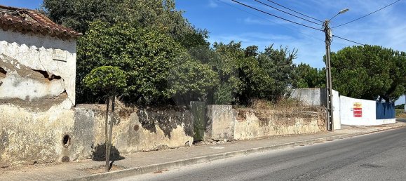 3 bedrooms House in Azinhaga, Portugal No. 45413 3