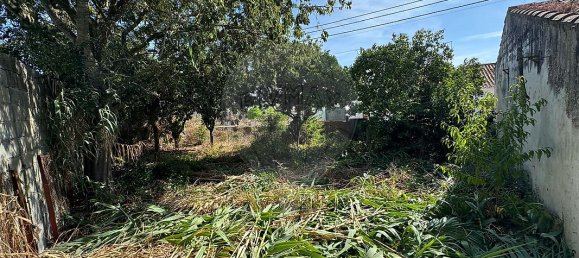 3 bedrooms House in Azinhaga, Portugal No. 45413 4