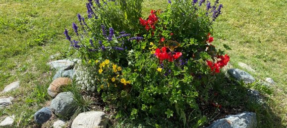 Studio à Gressoney La Trinite, Italy No. 114142 14