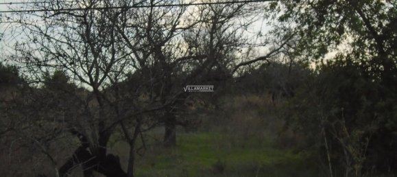 قطعة أرض في Tavira, Portugal 218837متر مربع رقم 50449 29