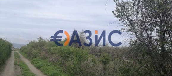 4000m² Land in Tankovo, Bulgaria No. 658 2