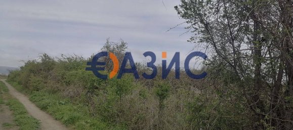 4000m² Land in Tankovo, Bulgaria No. 658 3