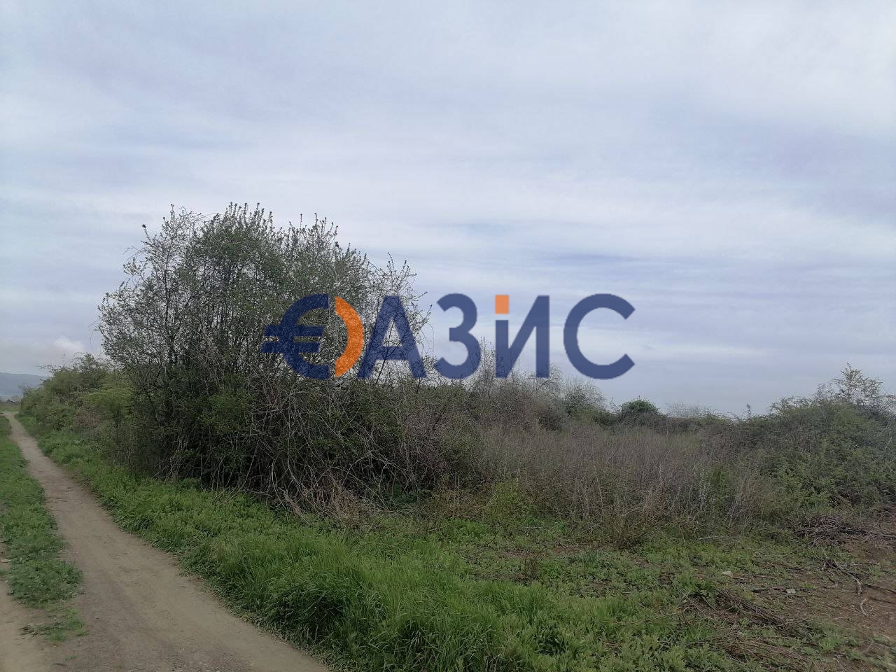 4000m² Land in Tankovo, Bulgaria No. 658