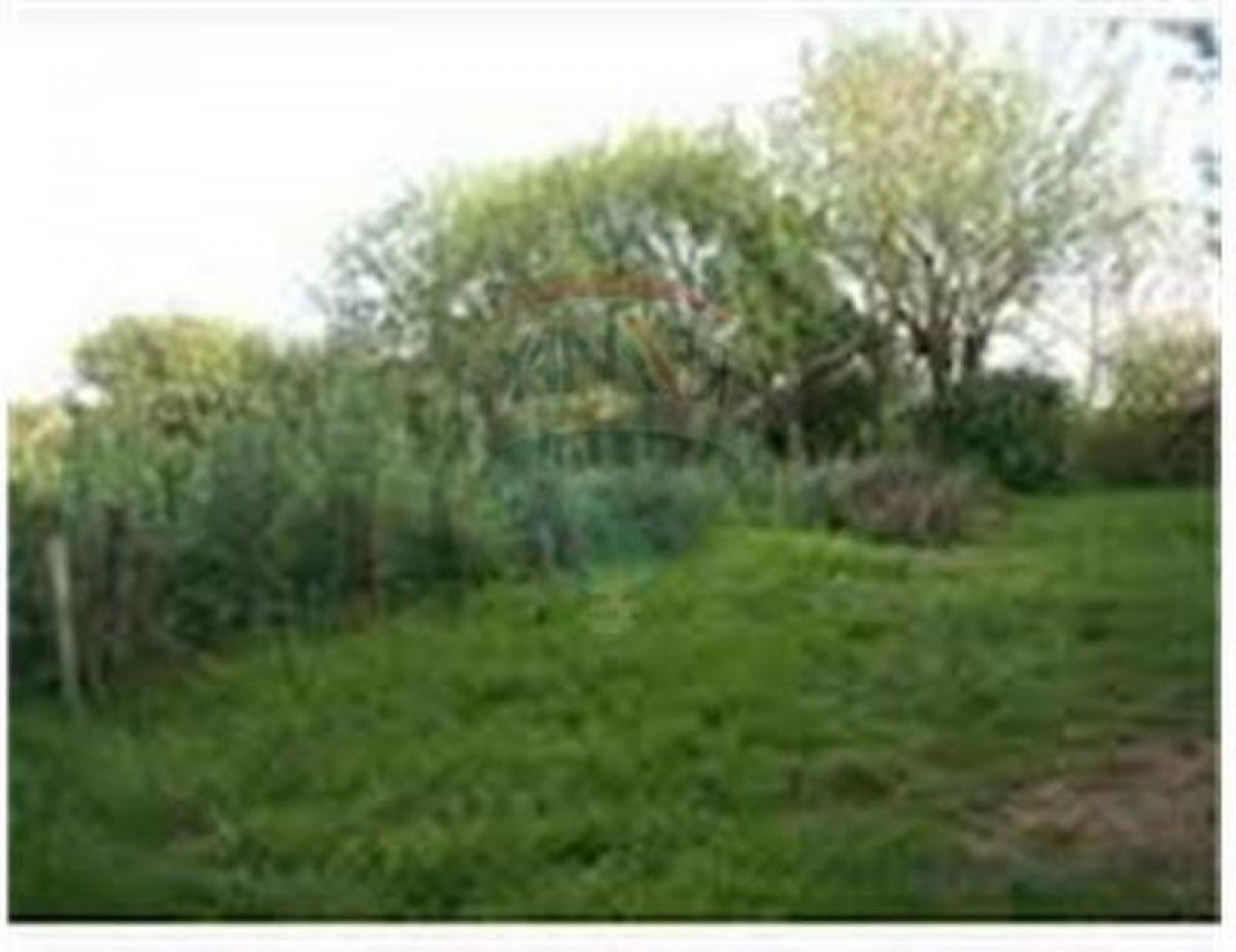  Land in Bermudez, Argentina No. 111212