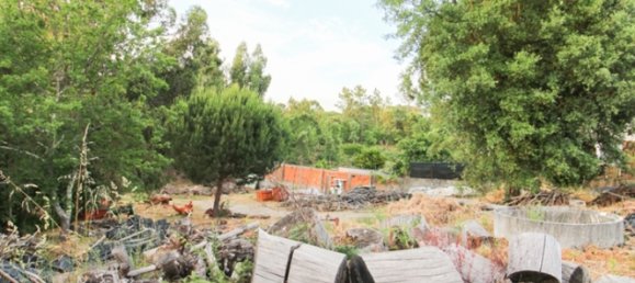 Grundstück in Viseu, Portugal, Nr. 65845 5