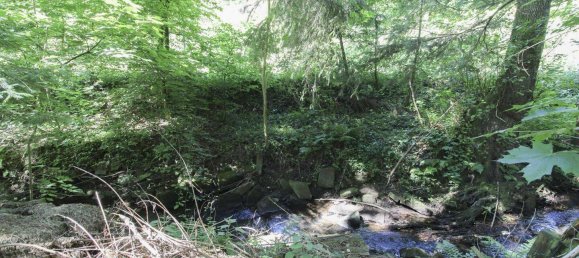 4 غرف نوم تاون هاوس في Holzminden, Germany رقم 312589 13