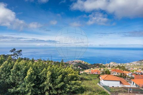  Land in Ribeira Brava, Portugal No. 249079