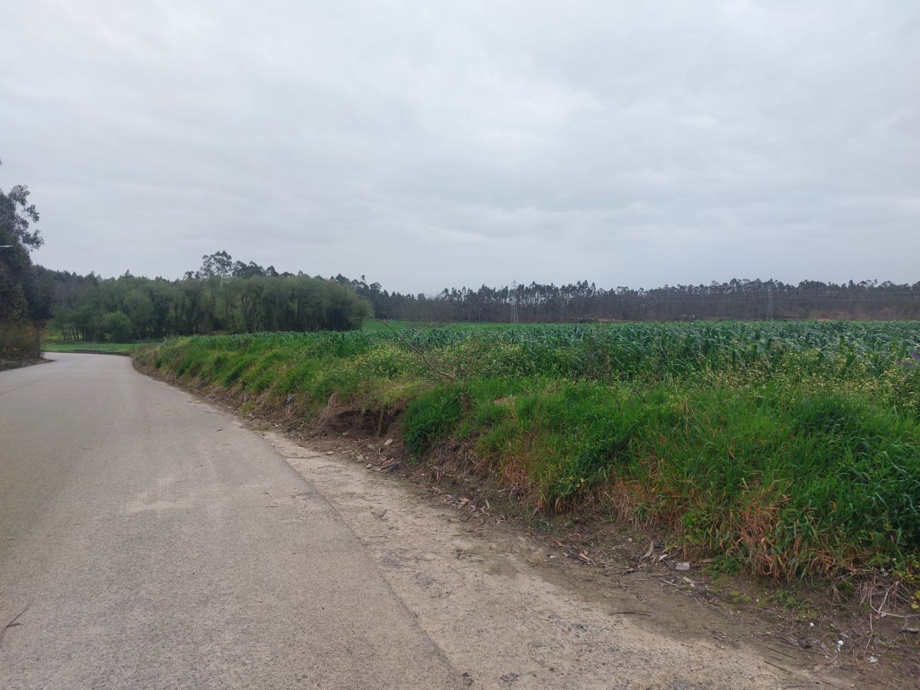 Земельный участок 5000м² в Гильябреу, Португалия № 57532