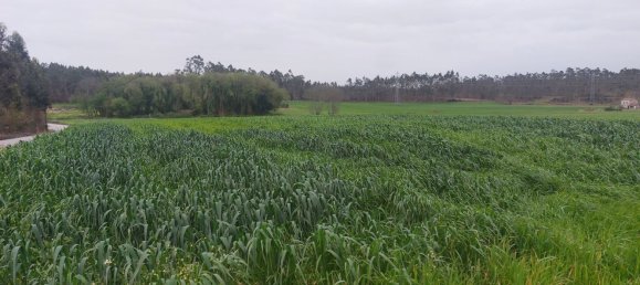 Земельный участок 5000м² в Гильябреу, Португалия № 57532 5