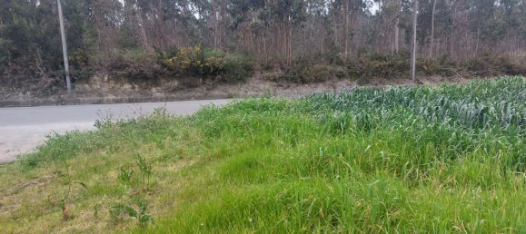 Земельный участок 5000м² в Гильябреу, Португалия № 57532 3