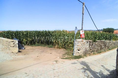  Land in Barcelos, Portugal No. 202304