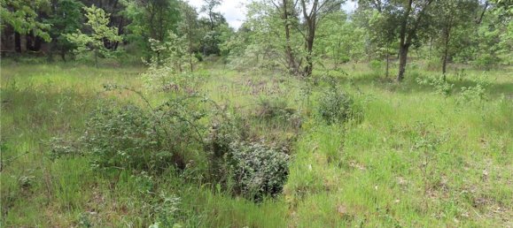 9 bedrooms Castles in Penamacor, Portugal No. 63142 42